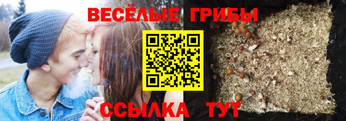 Псилоцибиновые грибы прущие грибы  Вход с VPN  Псилоцибиновые грибы мухоморы  Ликино-Дулёво 